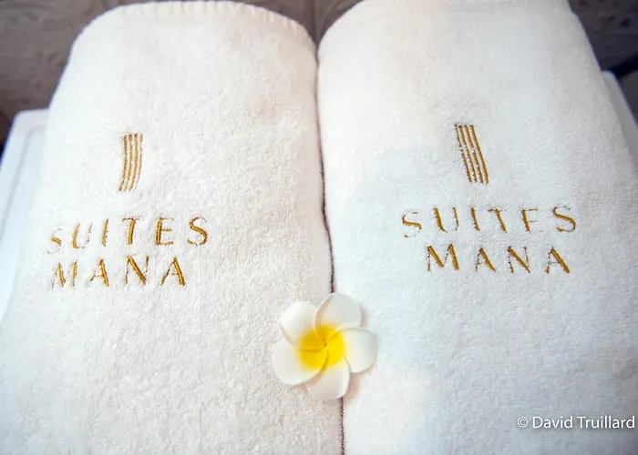 Suites Mana - Mahana Avec Vue Superbe Sur La Place Ducale Et Parking Prive Inclus